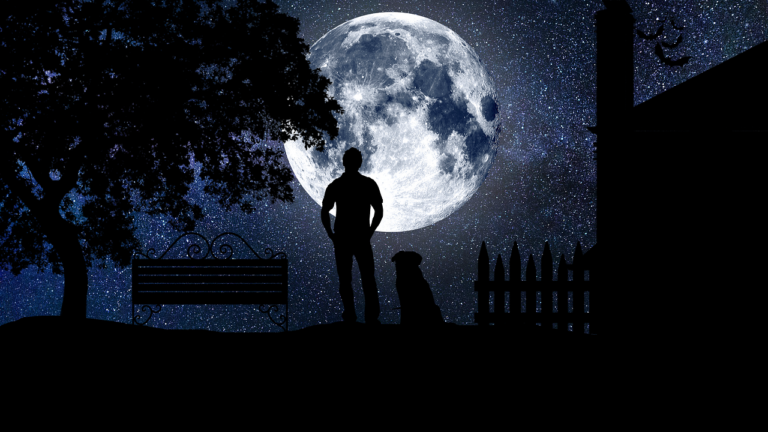 Man and dog standing dark night in forest with a full moon after scary lucid dream nightmare sleep paralysis