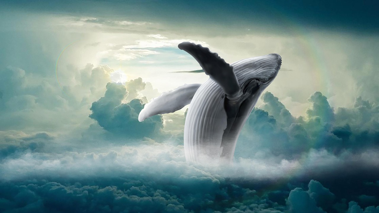 Big whale jumping from foggy dreamy sea in sky in dream trying not to wake up.